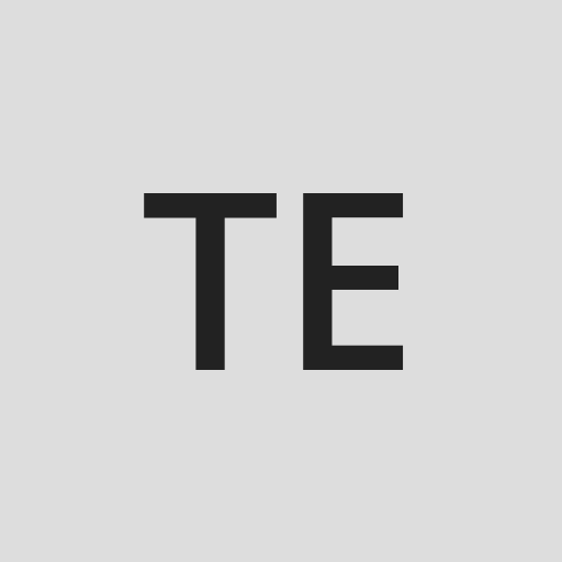 Imagem de perfil da empresa Transfer English